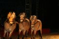 2010_08_07_cirque_ 077